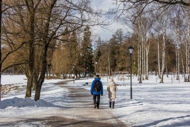 kış sezonunda parkta yürüyen insanların görünümü 