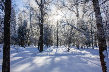Kış manzarası açık havada. 