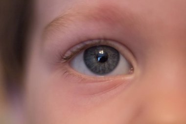 Küçük bir çocuğun gözü.