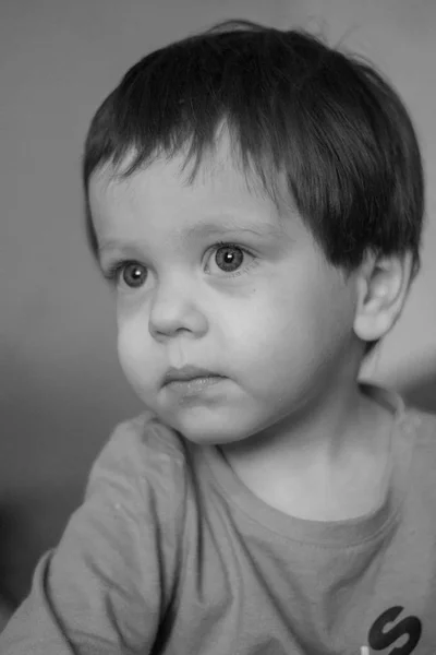Porträt Eines Zweijährigen Jungen — Stockfoto