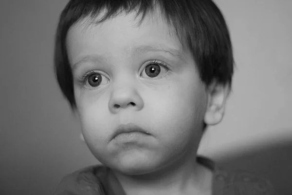 Retrato Menino Dois Anos — Fotografia de Stock