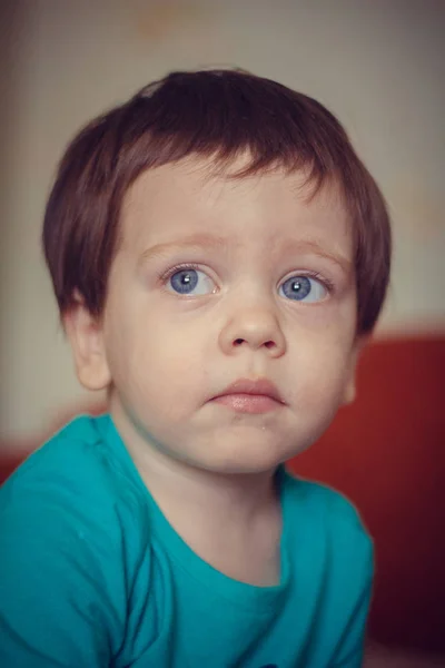 Portret Van Een Twee Jaar Oude Jongen — Stockfoto