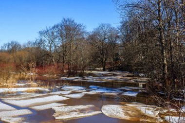 Güneşli Mart manzaralı