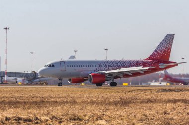 Rusya, St. Petersburg, Pulkovo Havalimanı, Mayıs 2018: Platform havaalanında uçak mı
