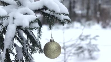 Arka planda yağan kar ve kar köknar dalı. Kış video resim