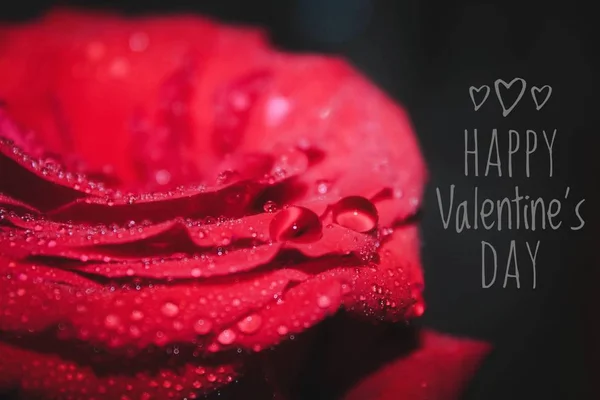 Kartu Hari Valentine Nya Valentine Kekasih Liburan Kartu Liburan Tanggal — Stok Foto