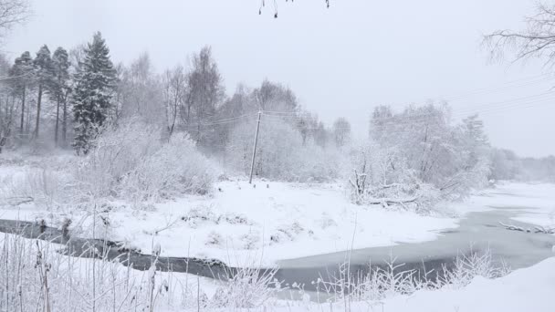 Paisaje Invernal Naturaleza Nieve Caída Vídeo Nieve — Vídeos de Stock