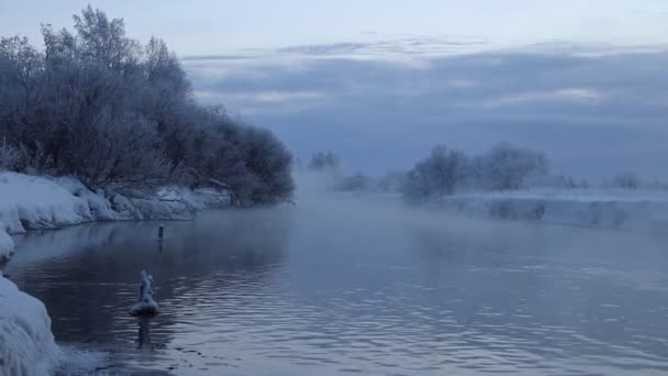 Morgon Gryningen Floden Stark Frost Avdunstning Från Vatten Kylan Floden — Stockvideo