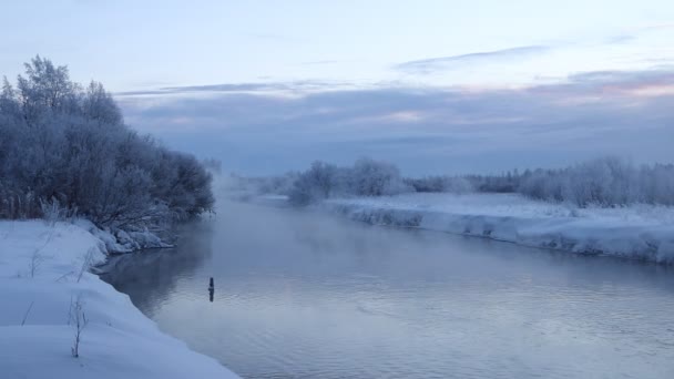 Mattina Alba Sul Fiume Forte Gelo Evaporazione Acqua Freddo Amaro — Video Stock