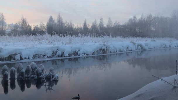 Morgendämmerung Auf Dem Fluss Bei Starkem Frost Verdunstung Durch Wasser — Stockvideo