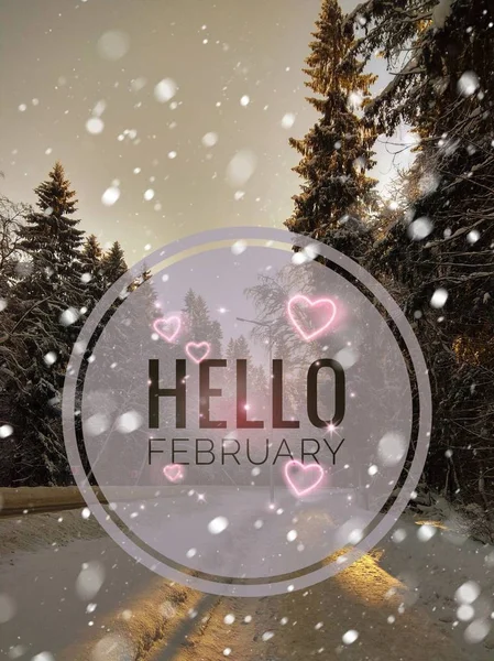 Şubat fotoğraf Merhaba. Yeni yıl başlangıcı. Tebrik kartı.