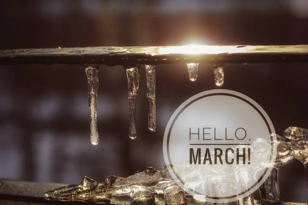 Banner Hello March Postcard Greetings Spring Waiting Spring Hello March — Stock Photo, Image