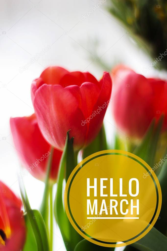 banner Hello March.Greeting card. The beginning of the new season. Spring came