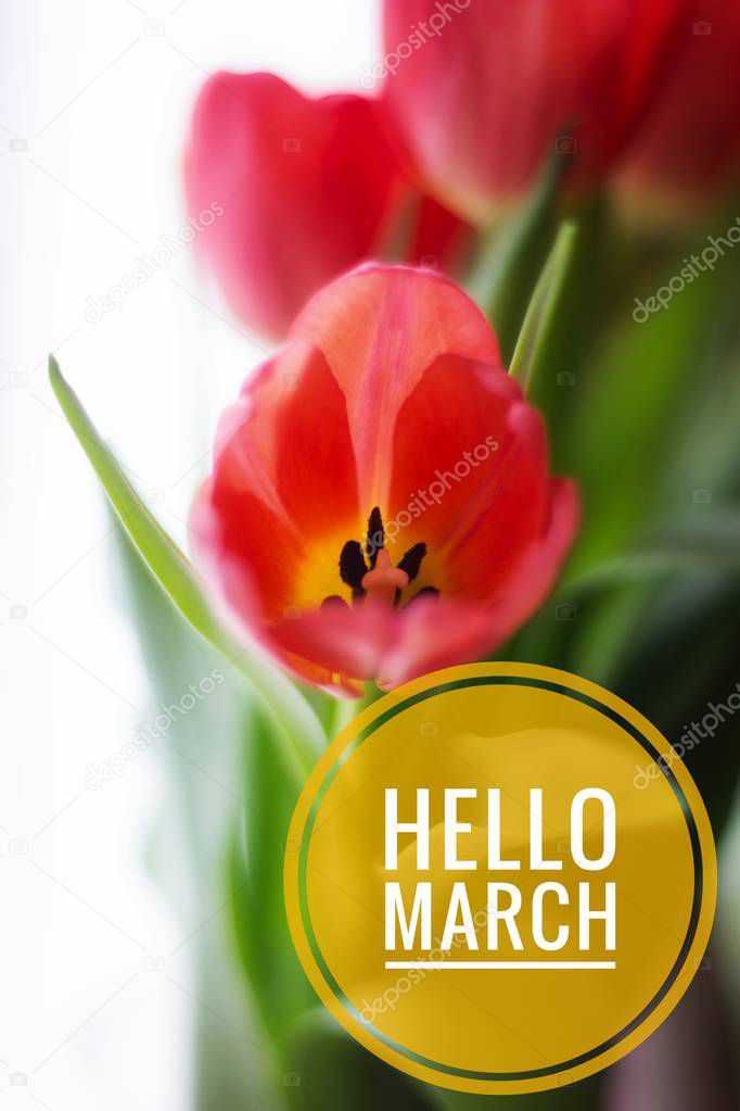 banner Hello March.Greeting card. The beginning of the new season. Spring came