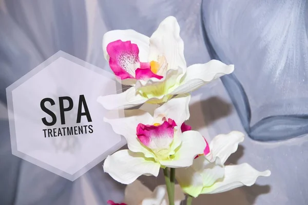 Picture Text Spa Treatments Banner Advertising Spa Salon Spa Treatments — Stock Photo, Image