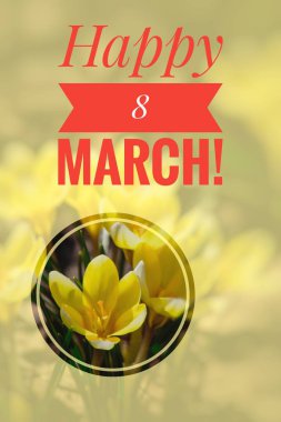 Kartpostal mutlu 8 Mart. Tatil için tebrik kartı. Dünya Kadınlar Günü. Kızlar için tatil. 8 Mart