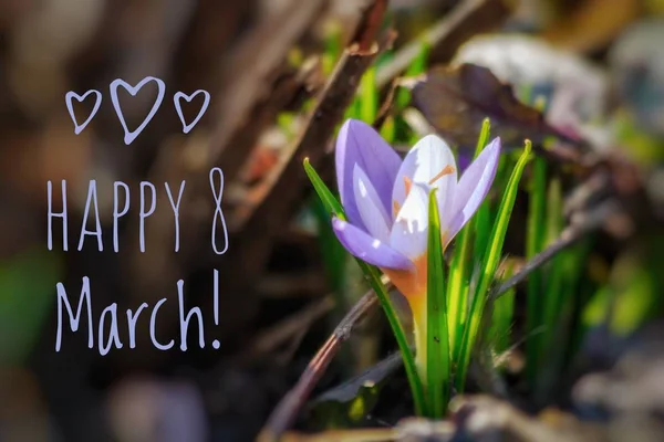 Postkarte Happy March Grußkarte Für Den Urlaub Weltfrauentag Urlaub Für — Stockfoto