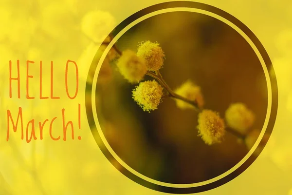 Życzeniami Hello Marca Welcome Card Początku Wiosny Pozdrowienia Dla Wiosny — Zdjęcie stockowe