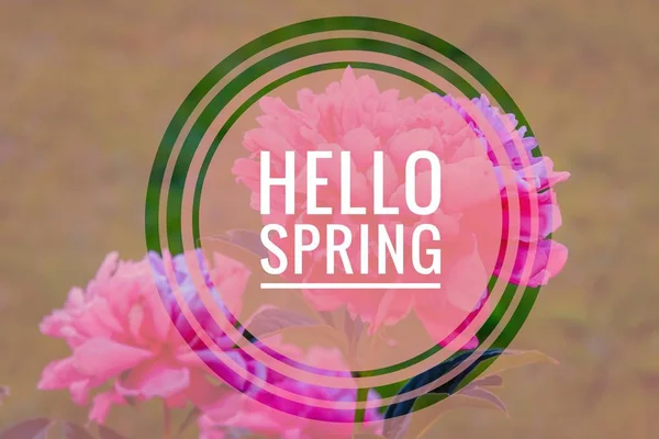 Postcard Hello Spring. Welcome card banner. Spring mood. — Stock Photo, Image