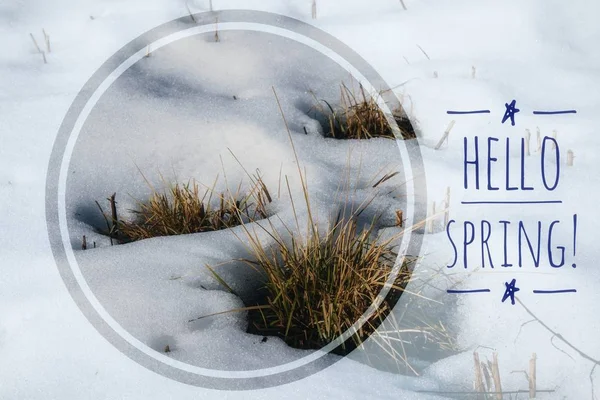 Postikortti Hello Spring. Tervetuliaiskortin juliste. Kevät mieliala . — kuvapankkivalokuva