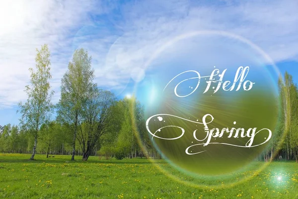엽서 안녕하세요 봄입니다. 환영 카드 배너입니다. 봄 분위기. — 스톡 사진