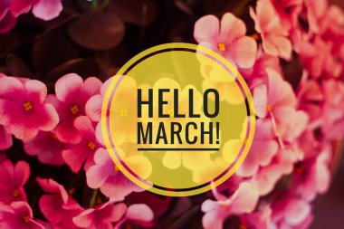 Banner hello march. Greetings of spring. We are waiting for spring. clipart