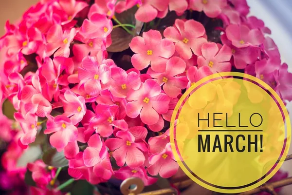 배너 안녕하세요 3 월입니다. 봄 인사입니다. 우리 봄을 기다리고 있습니다.. — 스톡 사진