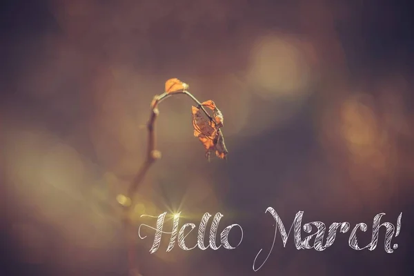 Banner hola marcha. Saludos de primavera. Estamos esperando la primavera. . —  Fotos de Stock