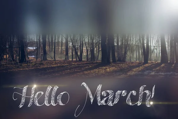 Banner hello maart. Groeten van de lente. Wij wachten tot de lente. — Stockfoto