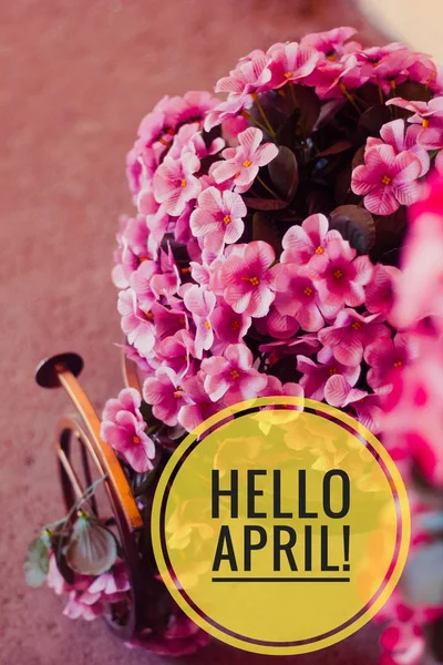 Banner hallo April. Hallo Frühling. Hallo April. Willkommenskarte warten wir auf den neuen Frühlingsmonat. der zweite Monat des Frühlings. — Stockfoto