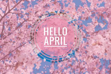 Banner hello april. Hi spring. Hello April. Welcome card We are waiting for the new spring month. The second month of spring. clipart