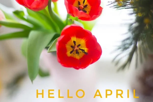 배너 안녕하세요 4 월입니다. 안녕하세요 봄. 안녕하세요 4 월. 환영 카드 우리 새 봄 달에 대 한 기다리고 있습니다. 스프링의 두 번째 달. — 스톡 사진