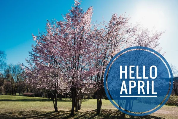 Banner hallo April. Hallo Frühling. Hallo April. Willkommenskarte warten wir auf den neuen Frühlingsmonat. der zweite Monat des Frühlings. — Stockfoto
