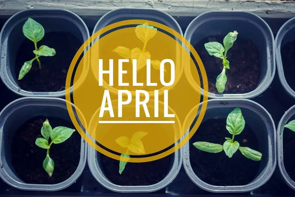 Banner Hej april. Hej våren. Hej April. Välkommen kort vi väntar på den nya vår-månaden. Den andra månaden av våren. — Stockfoto