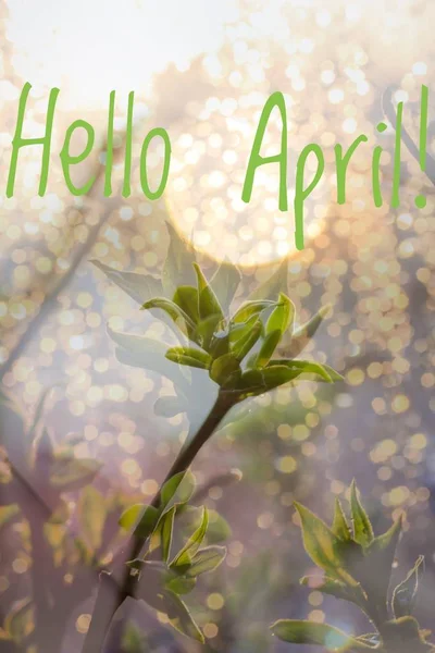 Nápis Ahoj dubna. Ahoj jaro. Dobrý den, duben. Kartičku Těšíme se na jarní měsíce. Druhý měsíc jara. — Stock fotografie