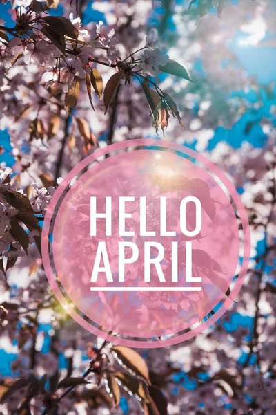 Banner hallo April. Hallo Frühling. Hallo April. Willkommenskarte warten wir auf den neuen Frühlingsmonat. der zweite Monat des Frühlings. — Stockfoto