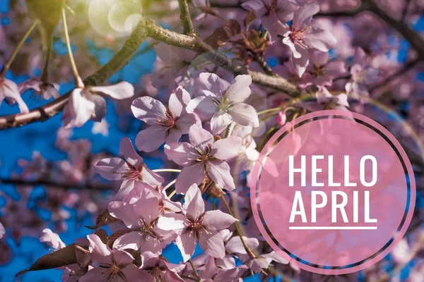 バナーこんにちは 4 月。こんにちは春します。こんにちは 4 月。ようこそカード新しい春月を待っています。春の 2 番目の月. — ストック写真