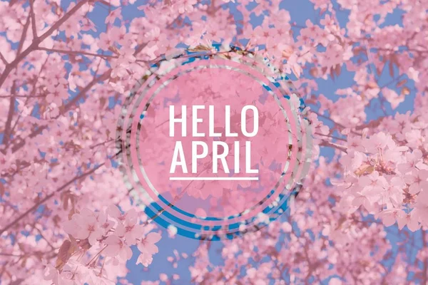 Banner hello april. Hai, musim semi. Halo April. Selamat datang kartu Kami sedang menunggu untuk bulan musim semi baru. Bulan kedua musim semi . Stok Gambar