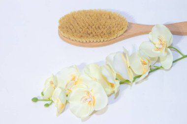 Fırça kuru masaj için. Yeni kozmetik. Selülit ve streç işaretleri kurtulmak. Doğru Cilt Bakımı. Spa uygulamaları.