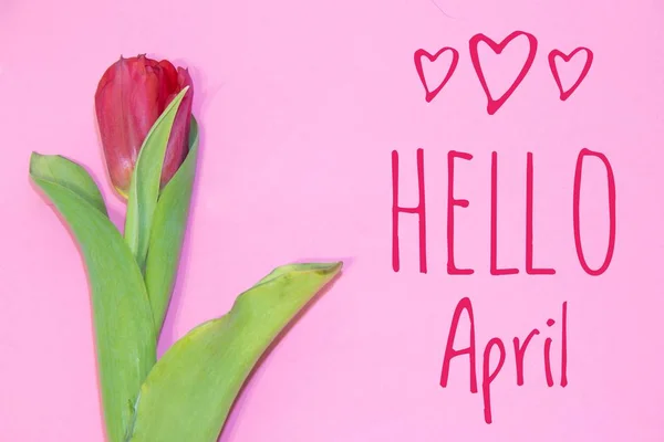 バナーこんにちは 4 月。こんにちは春します。春の 2 番目の月。ウェルカム カード — ストック写真