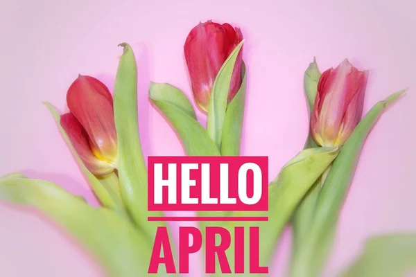 배너 안녕하세요 4 월입니다. 안녕하세요 봄. 스프링의 두 번째 달입니다. 환영 카드 — 스톡 사진