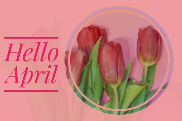 Banner hello april. Hallo lente. De tweede maand van de lente. Welkomstkaart — Stockfoto