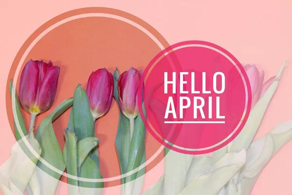 Banner hello april. Hai, musim semi. Bulan kedua musim semi. Selamat datang. — Stok Foto