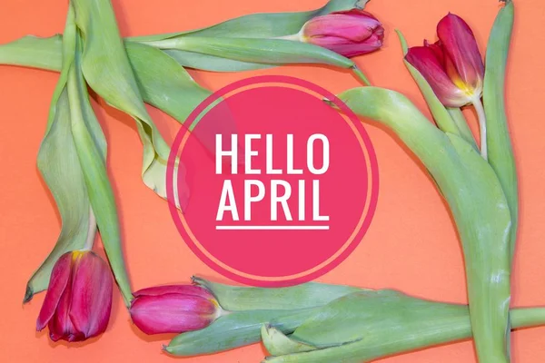 Banner hallo April. Hallo Frühling. der zweite Frühlingsmonat. Willkommenskarte — Stockfoto