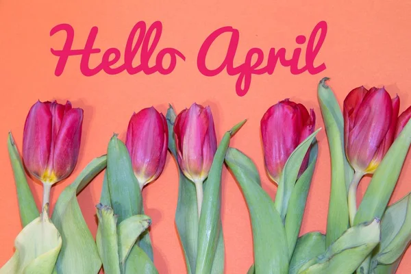 Banner hello april. Hai, musim semi. Bulan kedua musim semi. Selamat datang. — Stok Foto