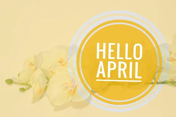 Banner hallo April. Hallo Frühling. der zweite Frühlingsmonat. Willkommenskarte — Stockfoto