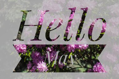 Banner Merhaba olabilir. Hoş geldiniz resmi. Yeni ay. Sıcak bir ay. Mayıs ayı. Bahar ayı.