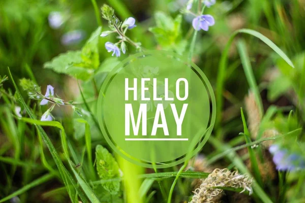 Banner hello may. Welcome picture. New month. Warm month. the month of May. Spring month.