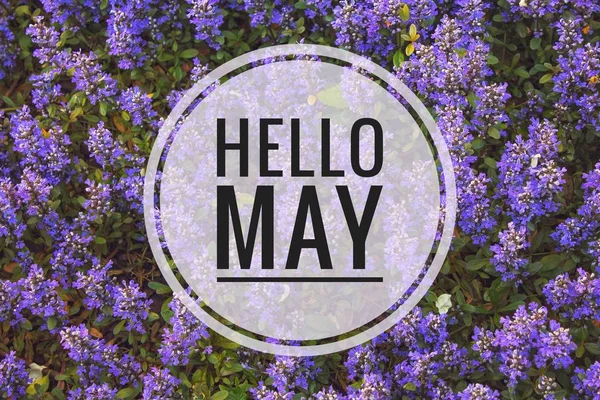 Banner hello may. Welcome picture. New month. Warm month. the month of May. Spring month.