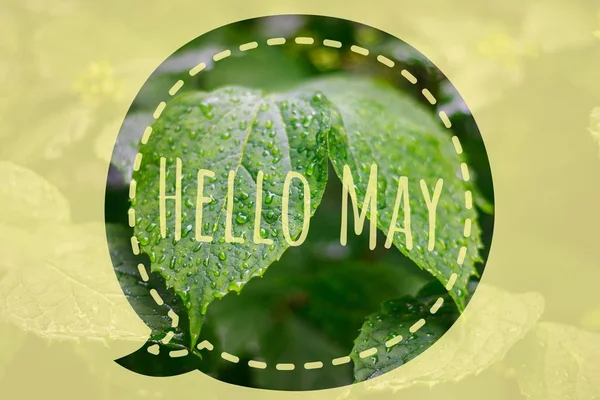 Banner hello may. Welcome picture. New month. Warm month. the month of May. Spring month.